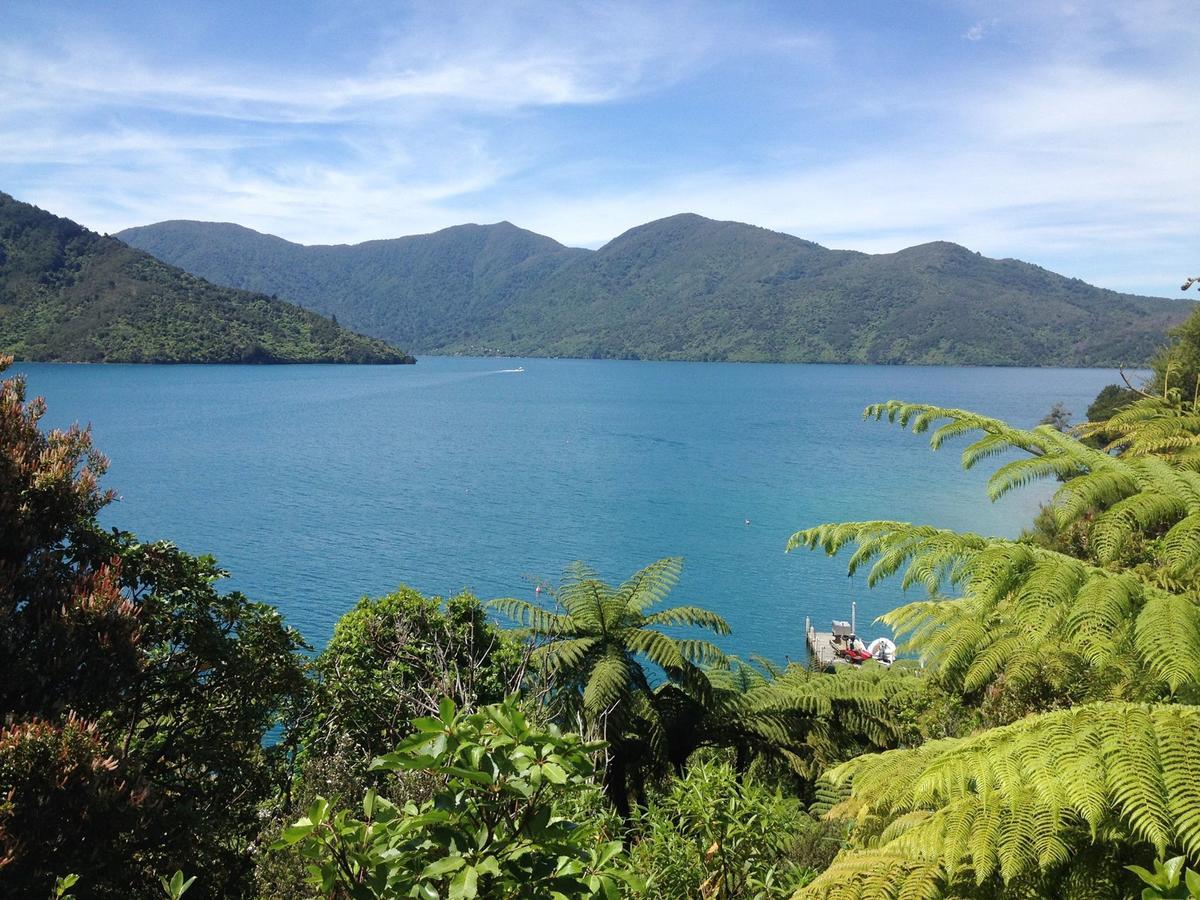 Punga Cove Resort Endeavour Inlet Exterior foto