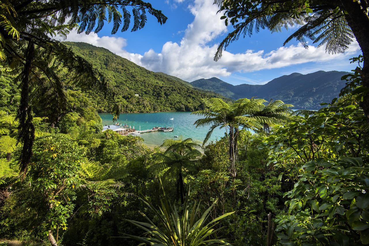 Punga Cove Resort Endeavour Inlet Exterior foto